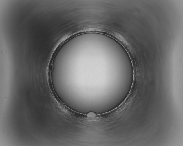 X0000116621181200912110935