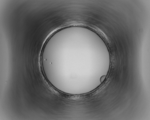 X0000116621182200912110935