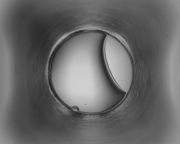 X0000116621183200912110935