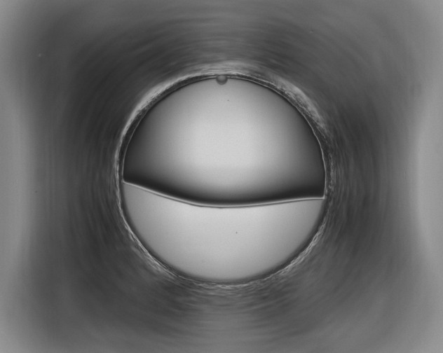X0000116621184200912110935