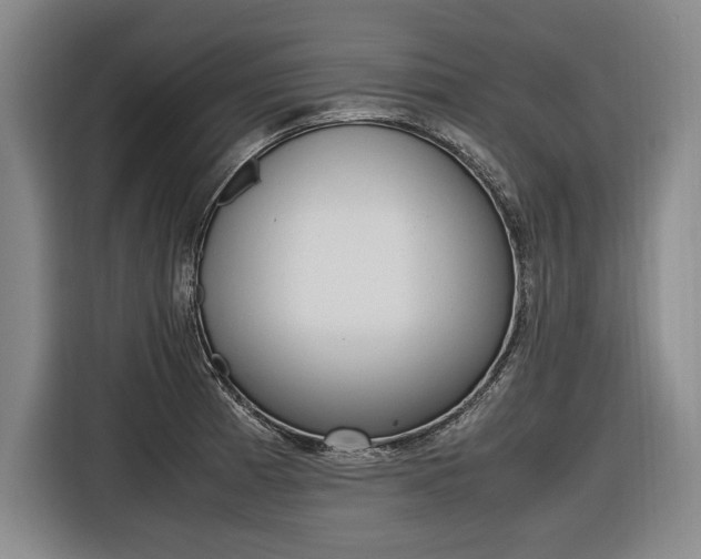 X0000116621185200912110935