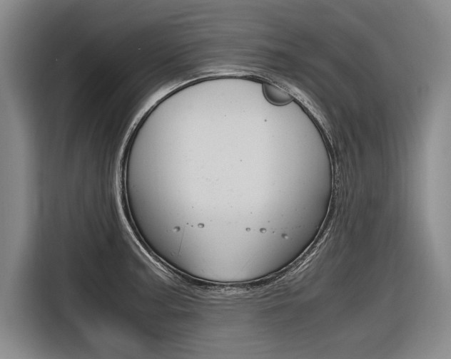 X0000116621187200912110935