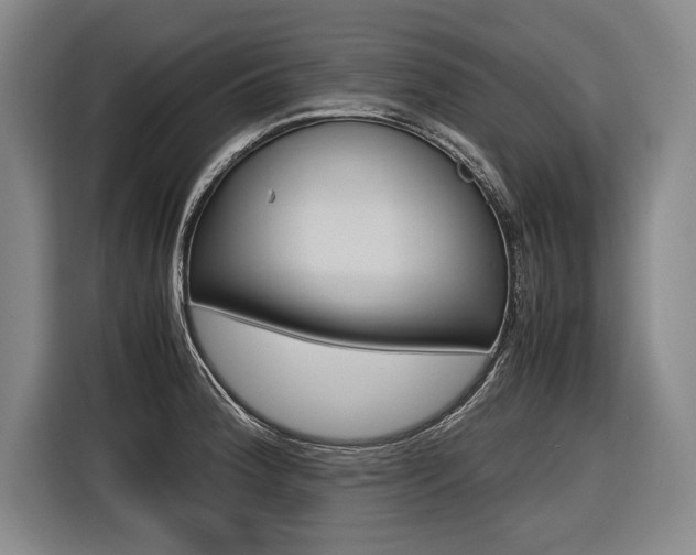 X0000116621188200912110935