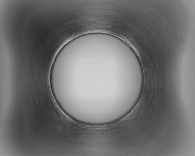 X0000116621189200912110935