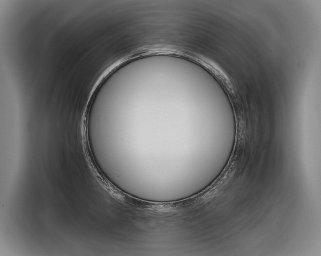 X0000116621190200912110934