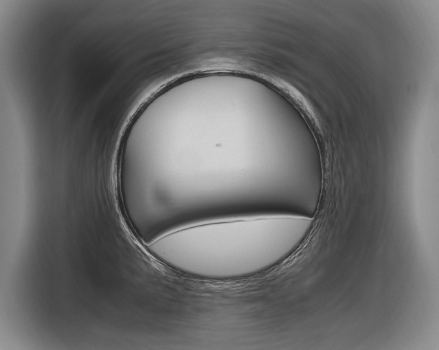 X0000116621191200912110934