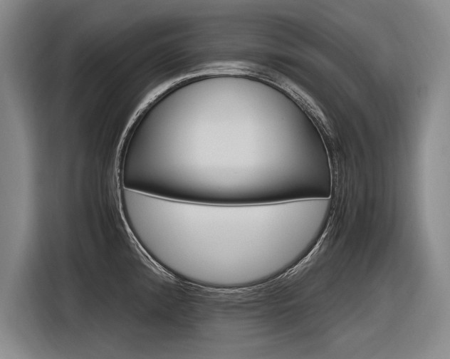 X0000116621192200912110934