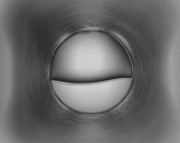 X0000116621193200912110934