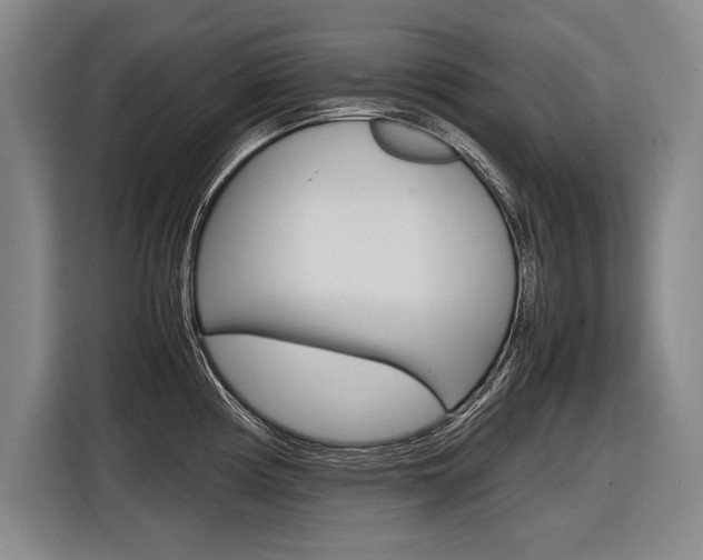 X0000116621194200912110934