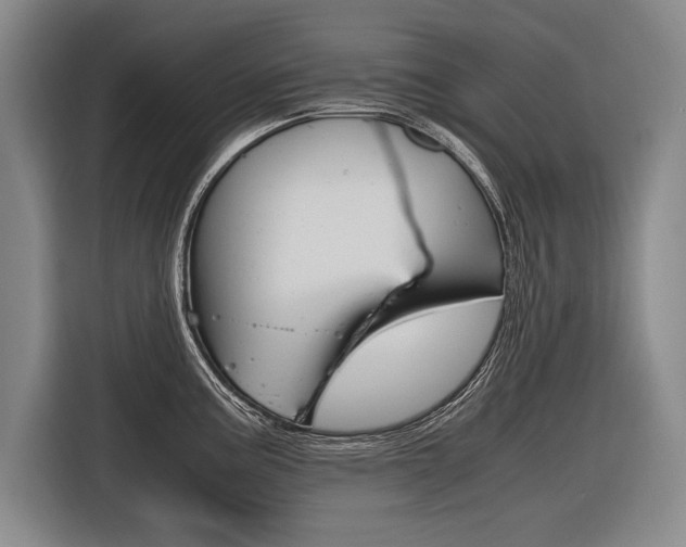 X0000116621195200912110934