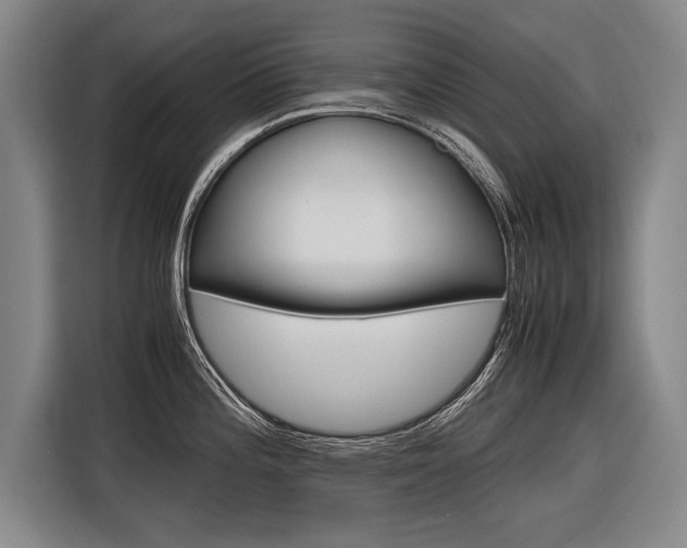 X0000116621196200912110934