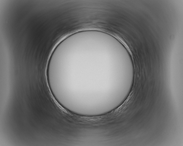 X0000116621197200912110934