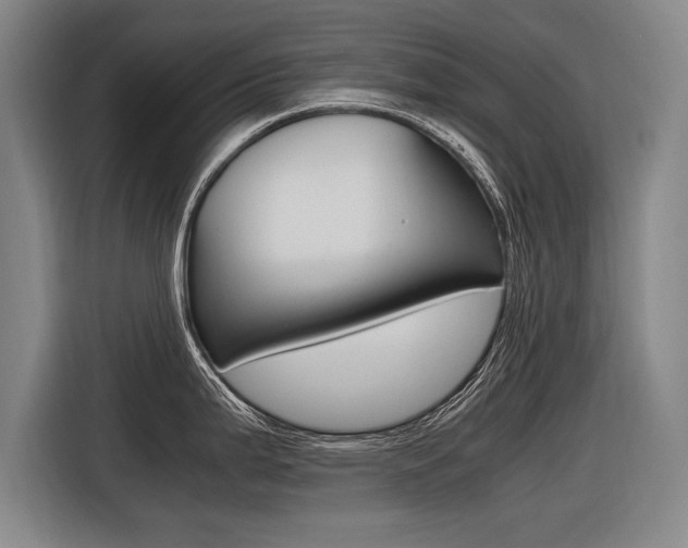 X0000116621199200912110934