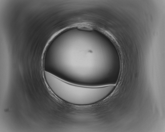 X0000116621200200912110934