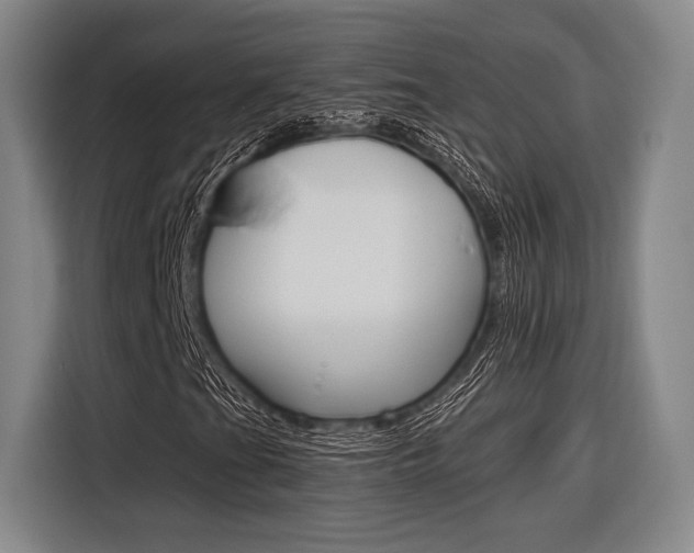X0000116621201200912110934