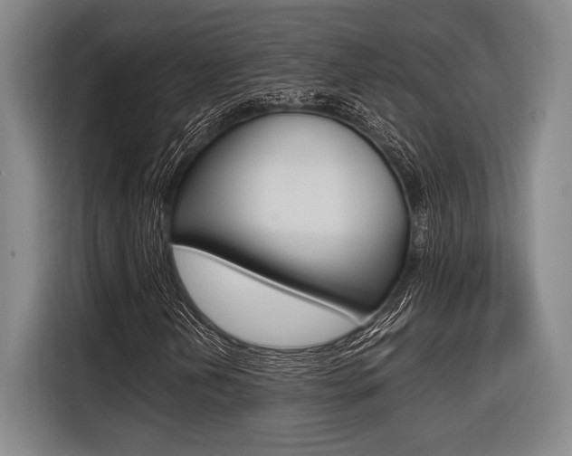 X0000116621202200912110934