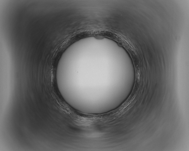 X0000116621204200912110934