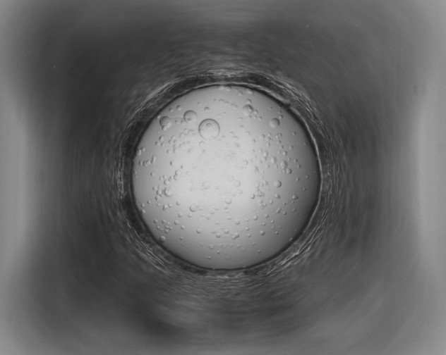X0000116621205200912110934