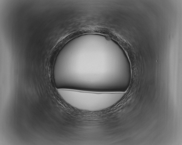 X0000116621206200912110934