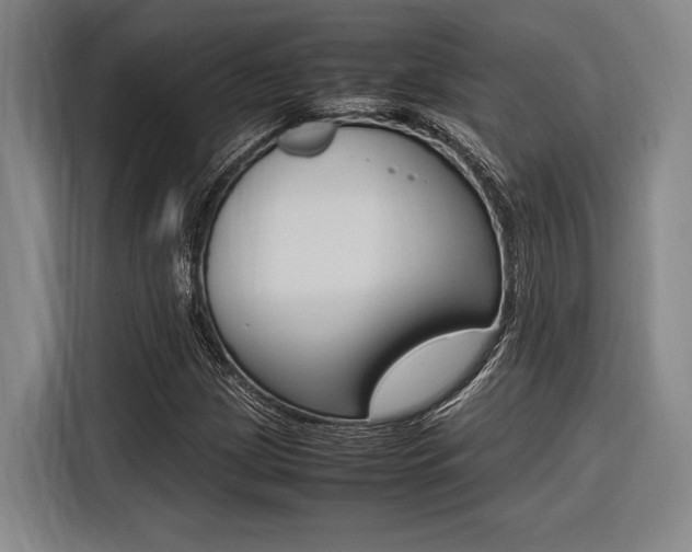 X0000116621209200912110934