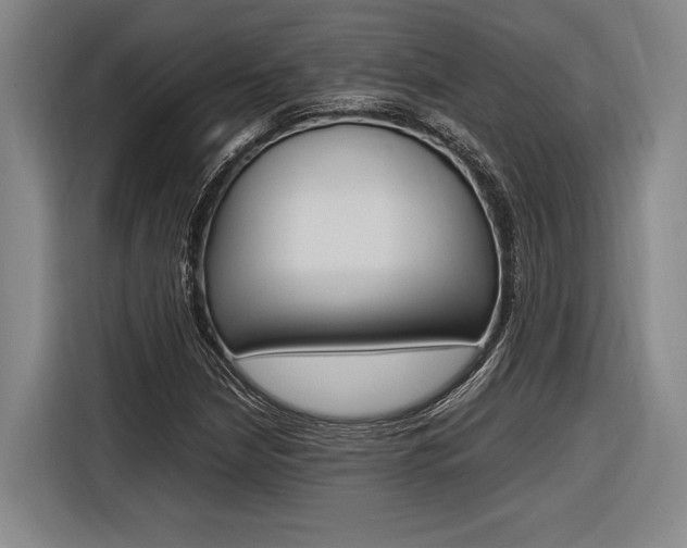 X0000116621210200912110934