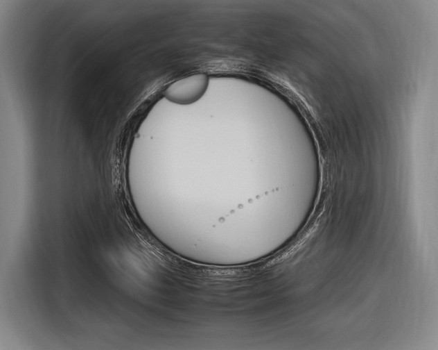 X0000116621211200912110934
