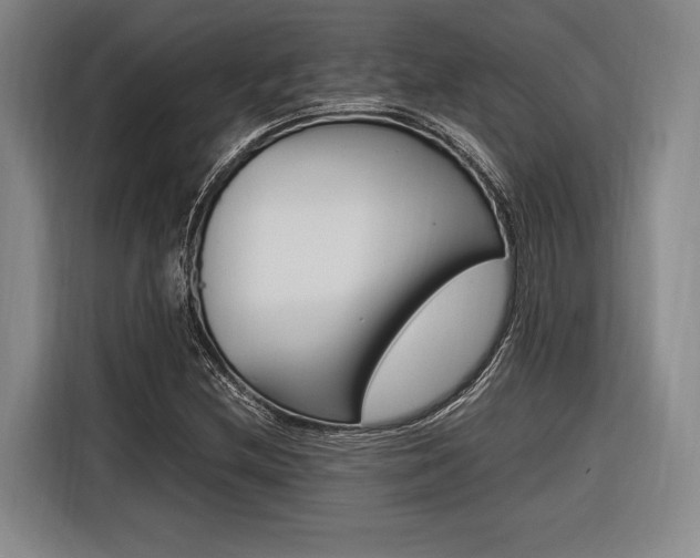 X0000116621212200912110934
