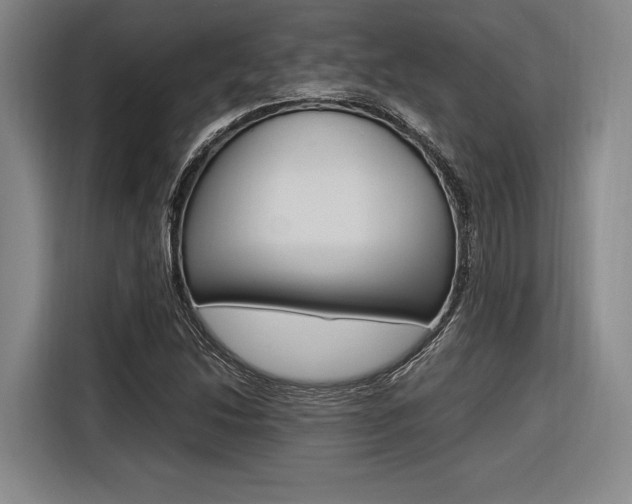 X0000116621214200912110934
