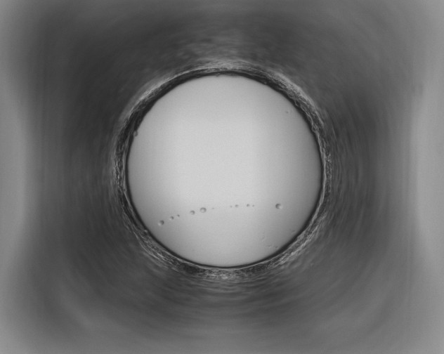 X0000116621215200912110934