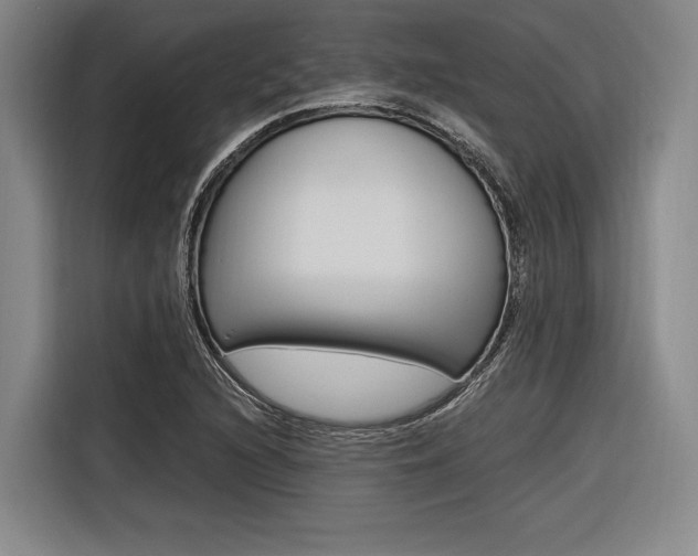 X0000116621216200912110934