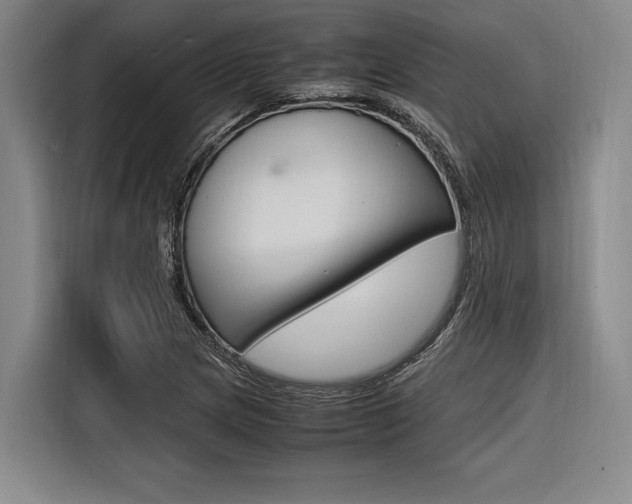 X0000116621217200912110934