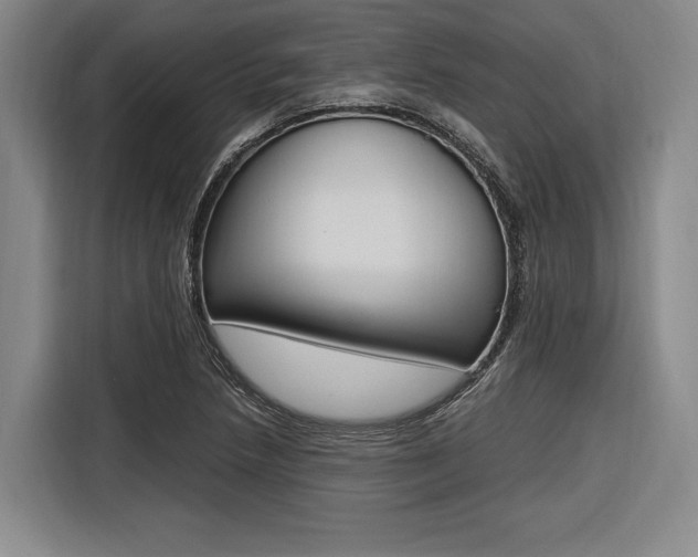 X0000116621218200912110934
