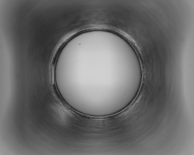 X0000116621223200912110934