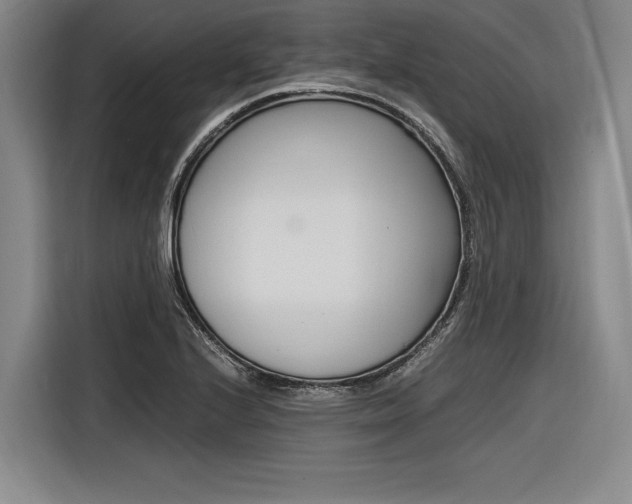 X0000116621224200912110934