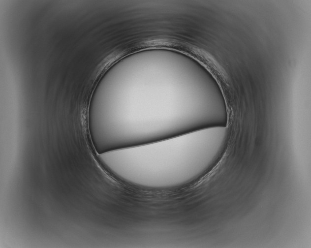 X0000116621225200912110934