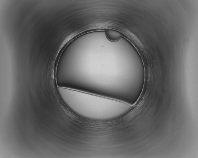 X0000116621226200912110934