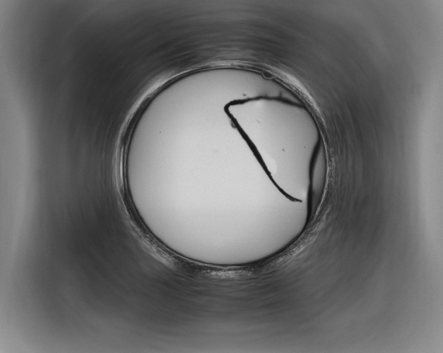 X0000116621227200912110934