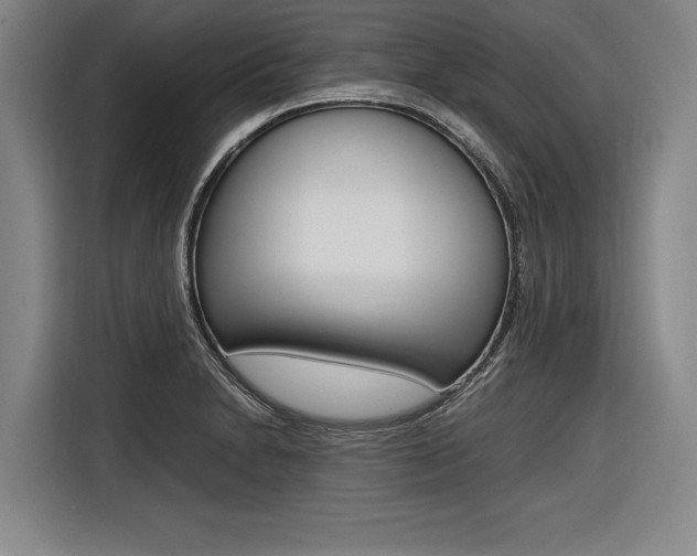 X0000116621230200912110934