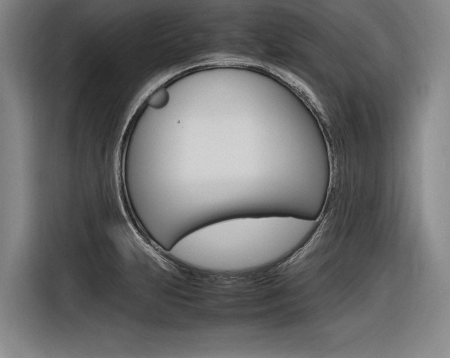 X0000116621231200912110934