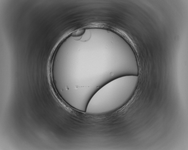 X0000116621235200912110934