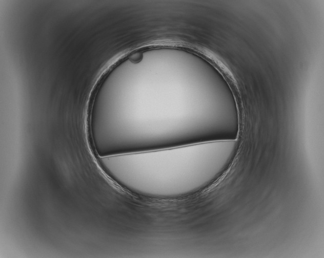 X0000116621237200912110934