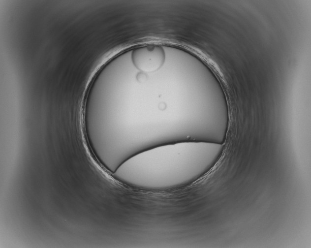 X0000116621239200912110934