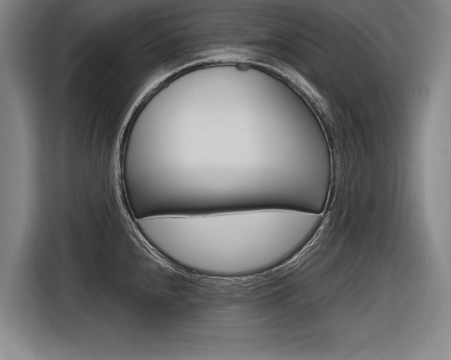 X0000116621240200912110934