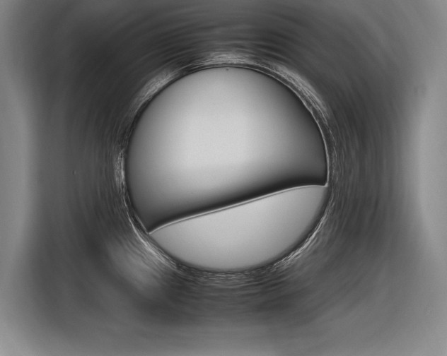 X0000116621241200912110934
