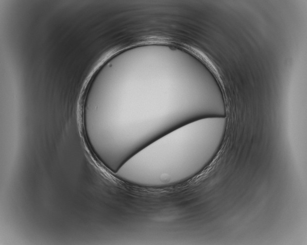 X0000116621243200912110934