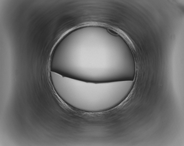 X0000116621244200912110934