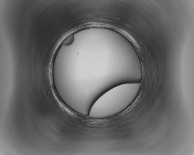 X0000116621247200912110934
