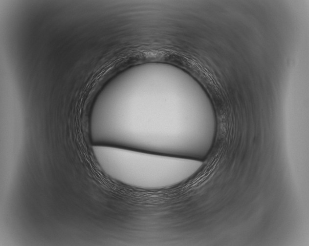 X0000116621249200912110934