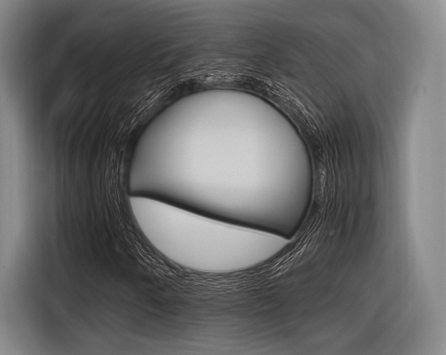 X0000116621250200912110934
