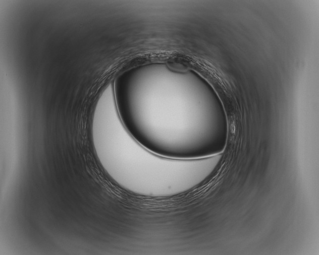X0000116621252200912110934
